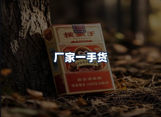 专业团队办公环境